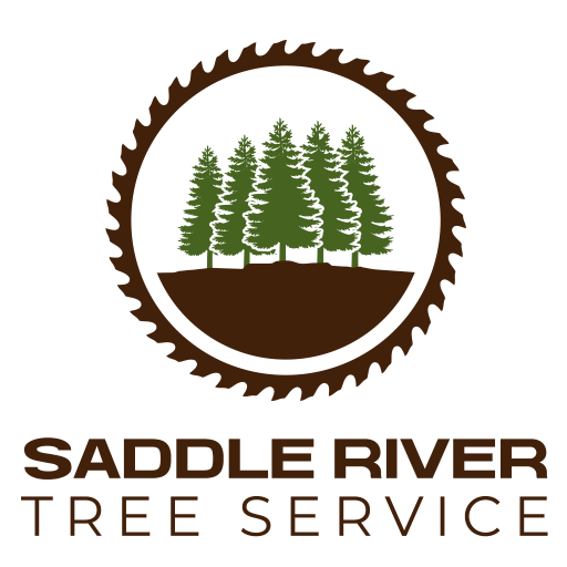 Saddle River Tree Services
